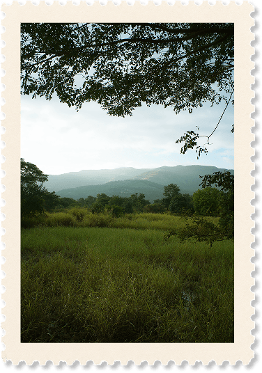 Photograph of Urawade, number 1