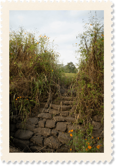 Photograph of Urawade, number 6